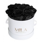  Mila-Roses-00193 Mila Classic Small White - Black Velvet