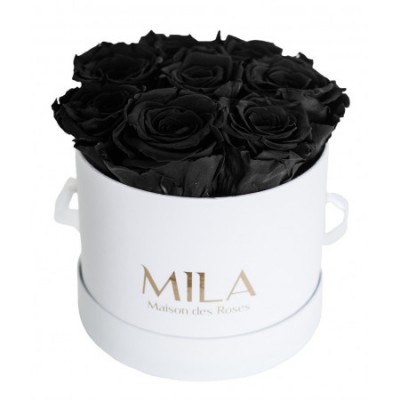 Produit Mila-Roses-00193 Mila Classic Small White - Black Velvet