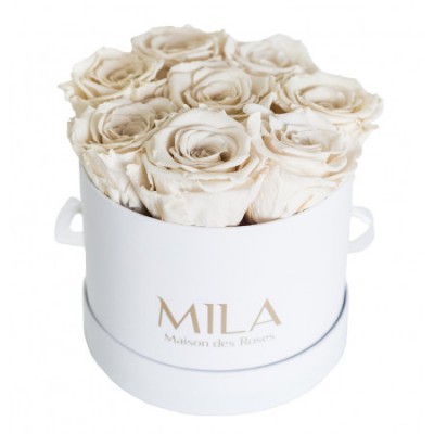 Produit Mila-Roses-00194 Mila Classic Small White - White Cream