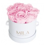  Mila-Roses-00196 Mila Classic Small White - Pink Blush