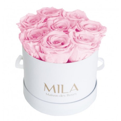 Produit Mila-Roses-00196 Mila Classic Small White - Pink Blush