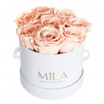  Mila-Roses-00197 Mila Classic Small White - Pure Peach