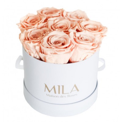 Produit Mila-Roses-00197 Mila Classic Small White - Pure Peach