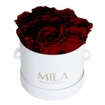  Mila-Roses-00199 Mila Classic Small White - Rubis Rouge