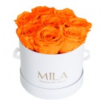  Mila-Roses-00200 Mila Classic Small White - Orange Bloom