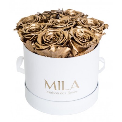 Produit Mila-Roses-00202 Mila Classic Small White - Metallic Gold
