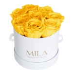  Mila-Roses-00205 Mila Classic Small White - Yellow Sunshine