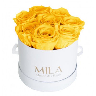 Produit Mila-Roses-00205 Mila Classic Small White - Yellow Sunshine