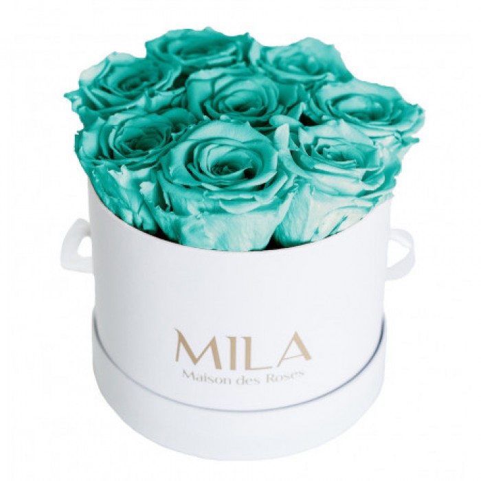 Mila Classic Small White - Aquamarine