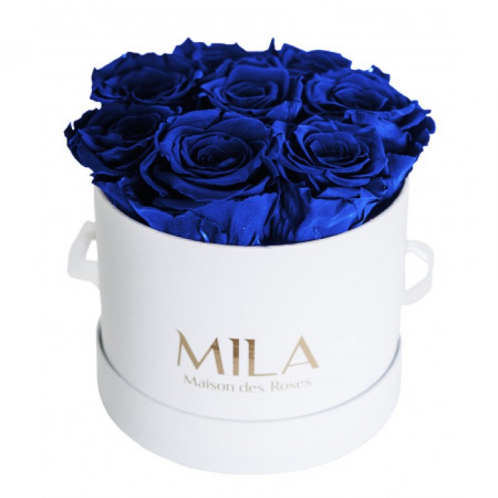 Mila Classic Small White - Royal blue
