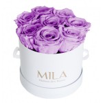  Mila-Roses-00209 Mila Classic Small White - Lavender