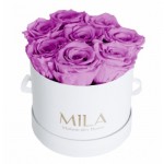  Mila-Roses-00210 Mila Classic Small White - Mauve