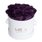  Mila-Roses-00212 Mila Classic Small White - Velvet purple