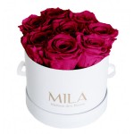  Mila-Roses-00213 Mila Classic Small White - Fuchsia