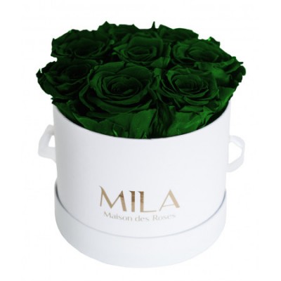 Produit Mila-Roses-00214 Mila Classic Small White - Emeraude