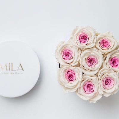 Produit Mila-Roses-00215 Mila Classic Small White - Pink bottom