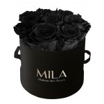  Mila-Roses-00217 Mila Classic Small Black - Black Velvet