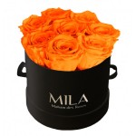  Mila-Roses-00224 Mila Classic Small Black - Orange Bloom