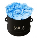 Mila-Roses-00230 Mila Classic Small Black - Baby blue