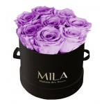  Mila-Roses-00233 Mila Classic Small Black - Lavender