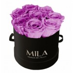  Mila-Roses-00234 Mila Classic Small Black - Mauve