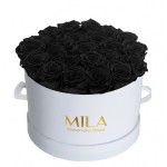  Mila-Roses-00241 Mila Classic Large White - Black Velvet