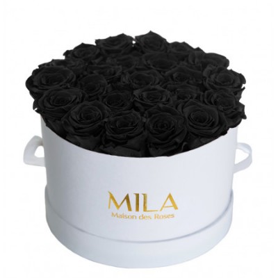 Produit Mila-Roses-00241 Mila Classic Large White - Black Velvet