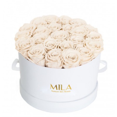 Produit Mila-Roses-00242 Mila Classic Large White - White Cream