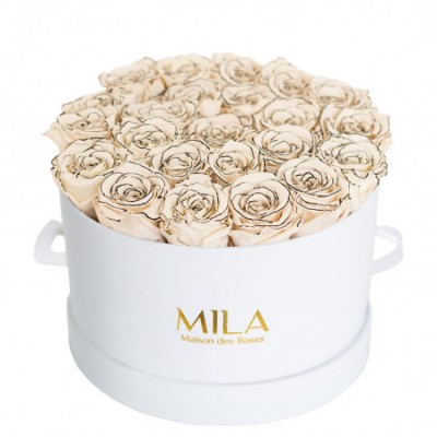 Produit Mila-Roses-00243 Mila Classic Large White - Haute Couture