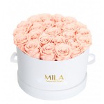  Mila-Roses-00245 Mila Classic Large White - Pure Peach