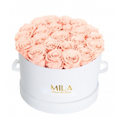 Produit Mila-Roses-00245 Mila Classic Large White - Pure Peach