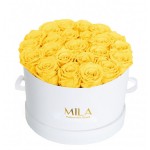  Mila-Roses-00253 Mila Classic Large White - Yellow Sunshine