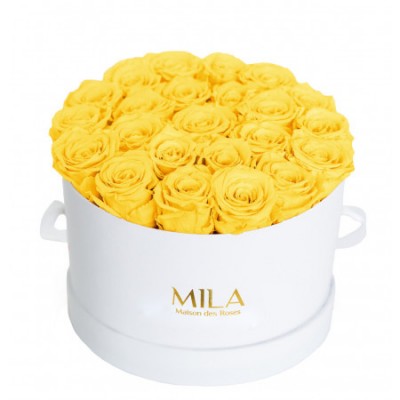 Produit Mila-Roses-00253 Mila Classic Large White - Yellow Sunshine