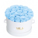  Mila-Roses-00254 Mila Classic Large White - Baby blue