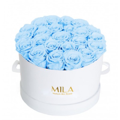 Produit Mila-Roses-00254 Mila Classic Large White - Baby blue