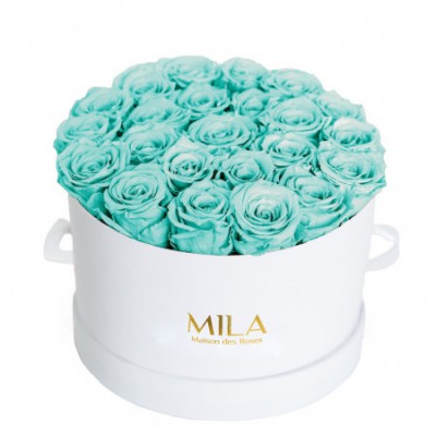 Produit Mila-Roses-00255 Mila Classic Large White - Aquamarine