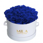  Mila-Roses-00256 Mila Classic Large White - Royal blue