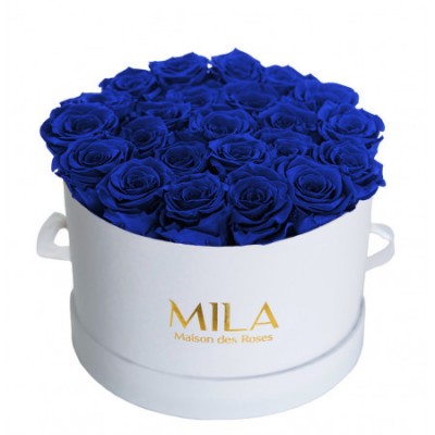 Produit Mila-Roses-00256 Mila Classic Large White - Royal blue