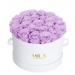 Mila-Roses-00257 Mila Classic Large White - Lavender
