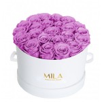  Mila-Roses-00258 Mila Classic Large White - Mauve