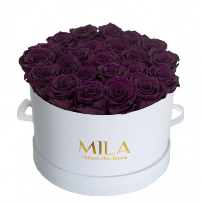 Mila Classic Large White - Velvet purple