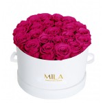  Mila-Roses-00261 Mila Classic Large White - Fuchsia