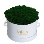  Mila-Roses-00262 Mila Classic Large White - Emeraude