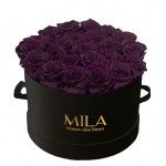  Mila-Roses-00284 Mila Classic Large Black - Velvet purple
