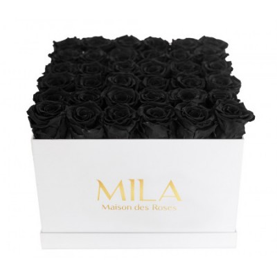 Produit Mila-Roses-00289 Mila Classic Luxe White - Black Velvet