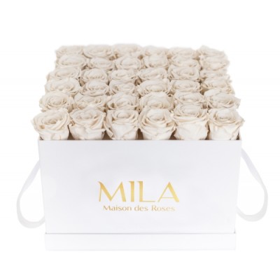 Produit Mila-Roses-00290 Mila Classic Luxe White - White Cream