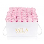  Mila-Roses-00292 Mila Classic Luxe White - Pink Blush