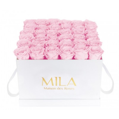 Produit Mila-Roses-00292 Mila Classic Luxe White - Pink Blush