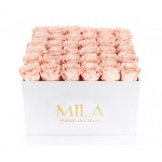  Mila-Roses-00293 Mila Classic Luxe White - Pure Peach