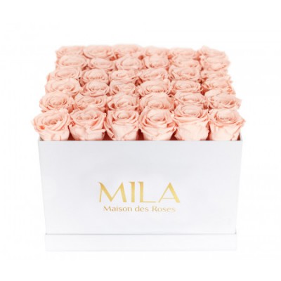 Produit Mila-Roses-00293 Mila Classic Luxe White - Pure Peach